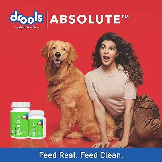 Drools Absolute Mobility Tablet Dog Supplement