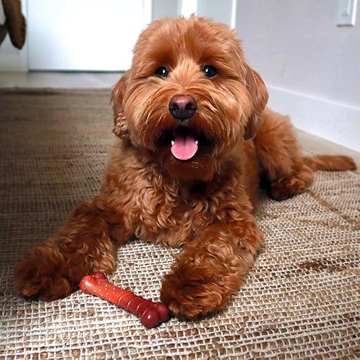 Nylabone Power Chew Textured Bone Beef Jerky Flavor Chew Toy Up to 11kg Dogs 11.43cm x 2.54cm x 4.44cm