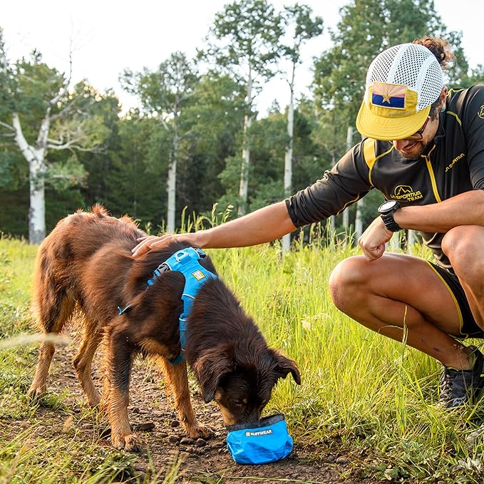 Ruffwear Trail Runner Bowl Large - Blue Pool