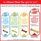 Nylabone Power Chew Flavor Frenzy Bone Triple Pack Chew Toy Up to 7kg Dogs 9.67cmx 2.69cm x 1.60cm