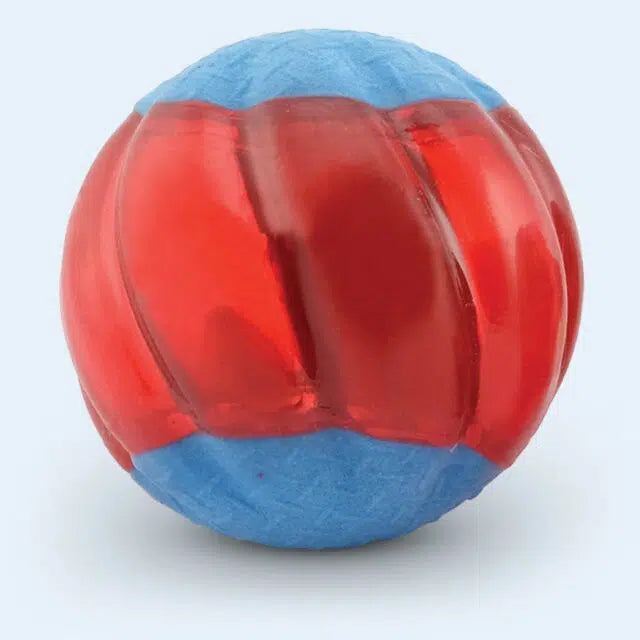 Zues Duo Ball with Squeaker Dog Toy