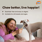 Dogaholic Nova Milky Chew Goat Milk Stick Treats for Dogs 500g