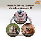 Dogaholic Nova Milky Chew Goat Milk Stick Treats for Dogs 500g