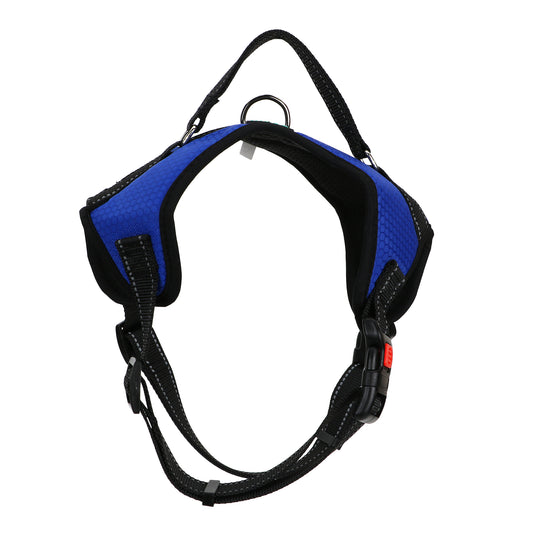 Basil Dog Harness With Handle Blue