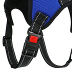 Basil No-Pull Dog Harness with Handle – Adjustable, Durable, and Comfortable (Blue)