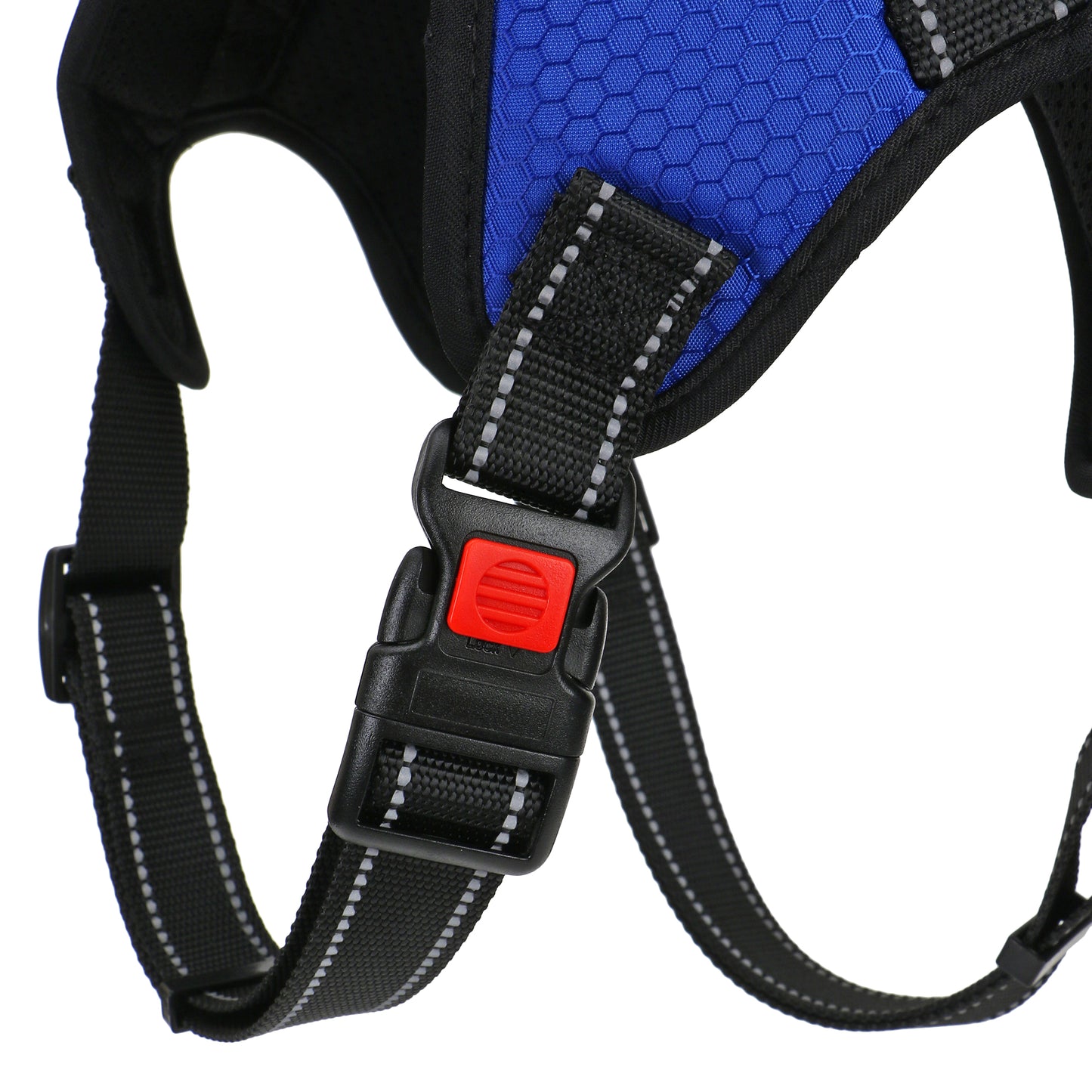 Basil Dog Harness With Handle Blue