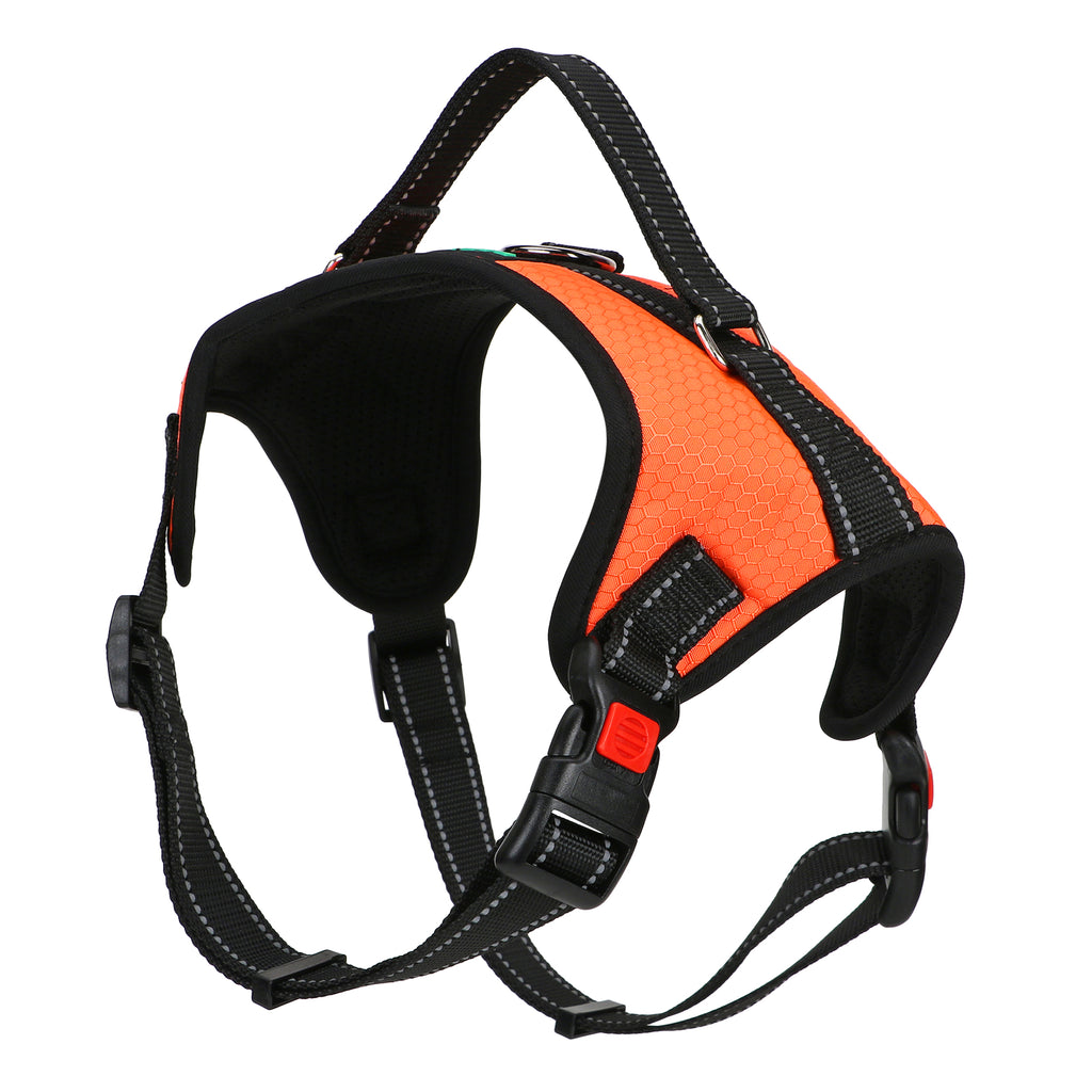 Basil No-Pull Dog Harness with Handle – Adjustable, Durable, and Comfortable (Orange)