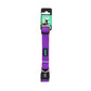 Basil Padded Adjustable Collar for Dogs & Puppies Purple