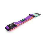 Basil Padded Adjustable Collar for Dogs & Puppies Purple