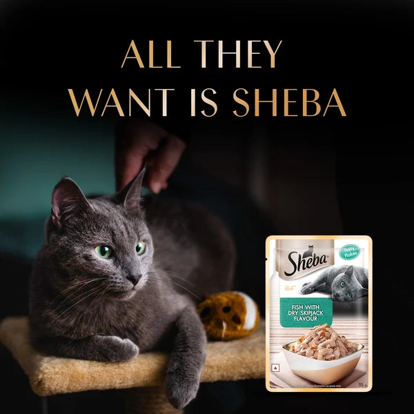 Sheba Fish with Dry Skipjack Flavour Wet Cat Food 35g