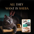 Sheba Fish with Dry Skipjack Flavour Wet Cat Food 35g