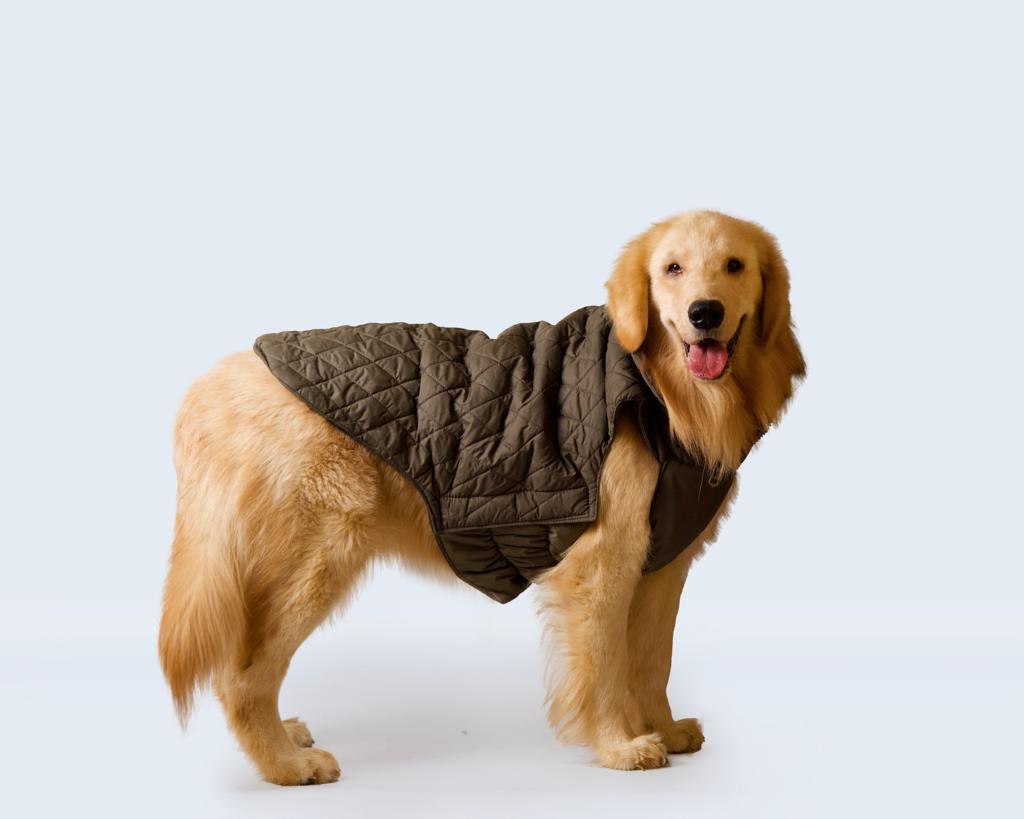 Pet Snugs Water-Resistant Top & Soft Cotton Lining Jacket For Your Furry Friend Olive Green