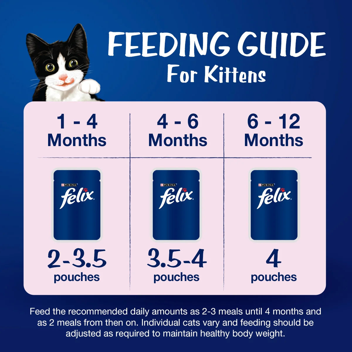 Purina Felix Kitten with Tuna in Jelly Wet Cat Food 85g (Pack of 12)