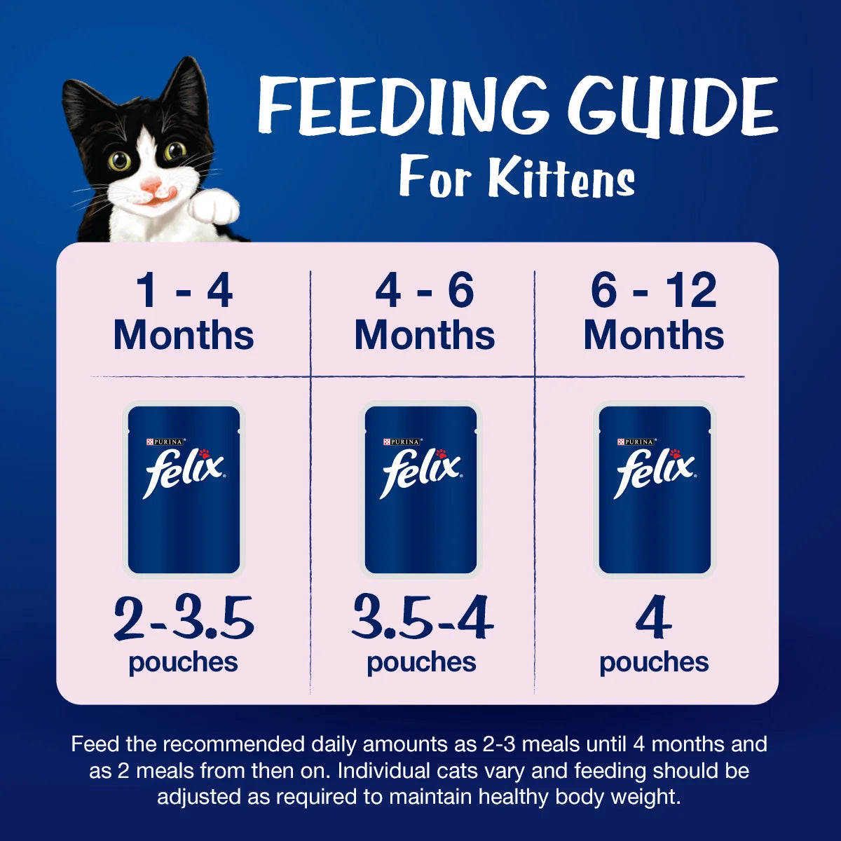 Purina Felix Kitten with Chicken in Jelly Wet Cat Food 85g