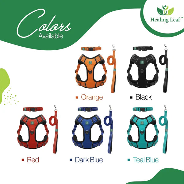 Healing Leaf Set of 3 Collar l Harness l Leash For Dogs l Teal Blue