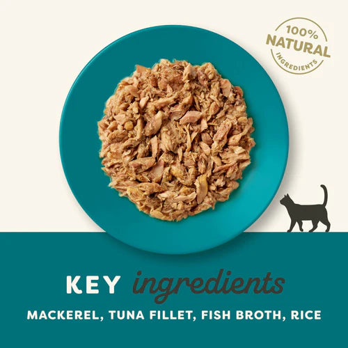 Applaws Ocean Fish in Broth Tin Cat Wet Food 70gm