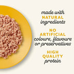Applaws Kitten Chicken in Jelly Wet Cat Food 70g