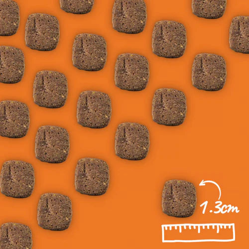 Arden Grange Adult Dry Dog Food Senior Chicken & Rice 2kg