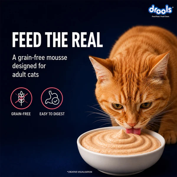 Drools Salmon Mousse Adult Cat Wet Food 80gm 5+1