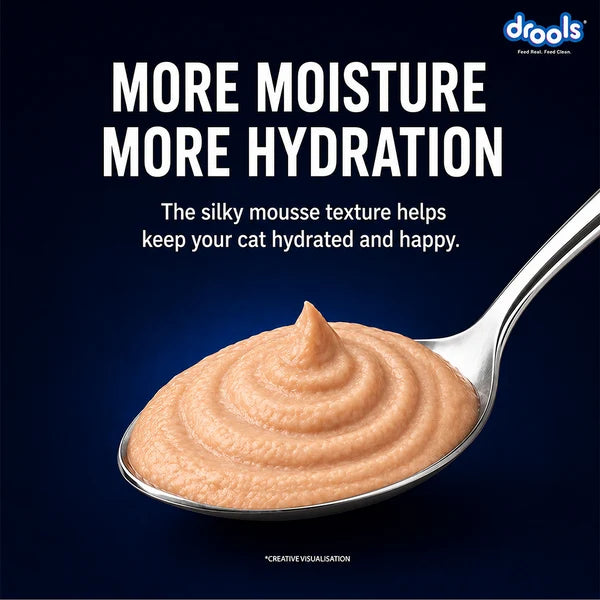 Drools Salmon Mousse Adult Cat Wet Food 80gm 5+1