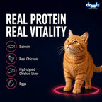 Drools Salmon Mousse Adult Cat Wet Food 80gm 5+1