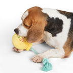 FOFOS Birthday Balloon Dog Toy 15x7x36cm
