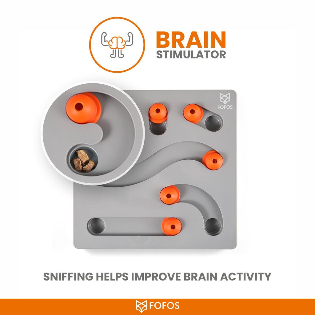 FOFOS Brain Game Treat Puzzle Dog Toy 28 x 28 x 3 cm