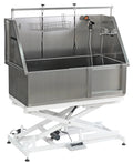 Aeolus Maxima Electric Lifting Bathtub with Sliding Door