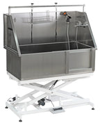 Aeolus Maxima Electric Lifting Bathtub with Sliding Door