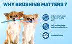 Trixie Dental Care Dog Toothpaste with Mint 100gm