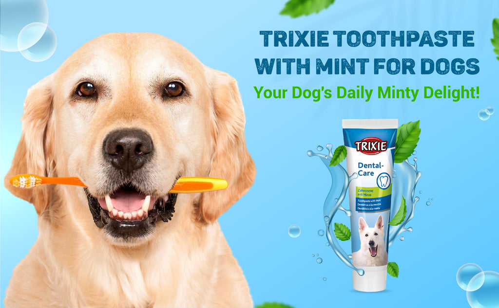 Trixie Dental Care Dog Toothpaste with Mint 100gm