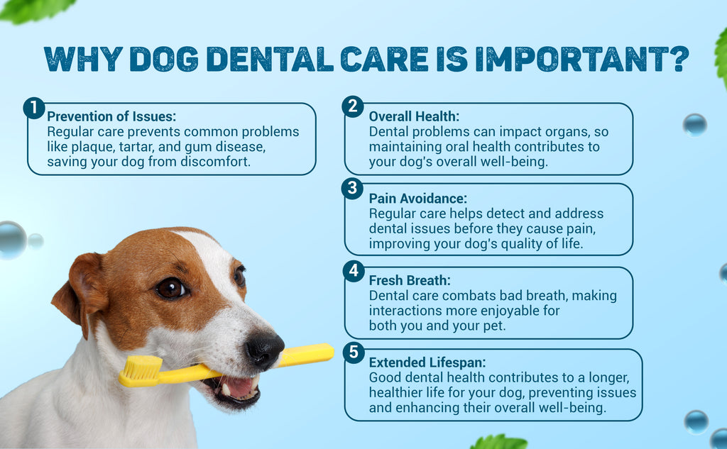 Trixie Dental Care Dog Toothpaste with Mint 100gm