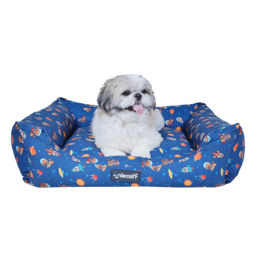 Unleash Bed Space Shuttle print For Dogs