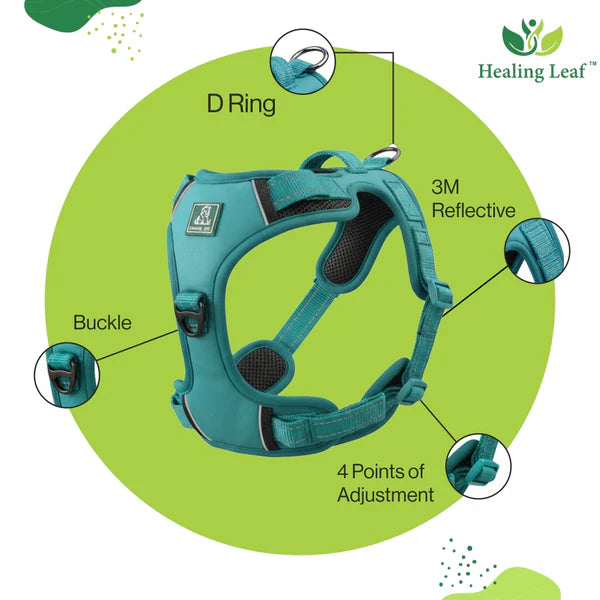 Healing Leaf Set of 3 Collar l Harness l Leash For Dogs l Blue