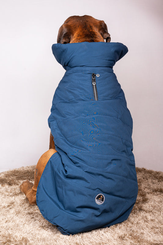 Pet Snugs Water-Resistant Top & Soft Cotton Lining Jacket For Your Furry Friend Blue