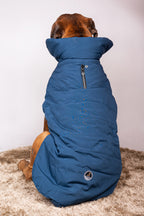 Pet Snugs Water-Resistant Top & Soft Cotton Lining Jacket For Your Furry Friend Blue