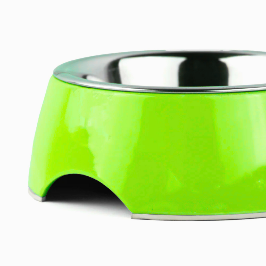 Basil Solid Green Pet Feeding Bowl Set Melamine and Stainless Steel Small 400ml