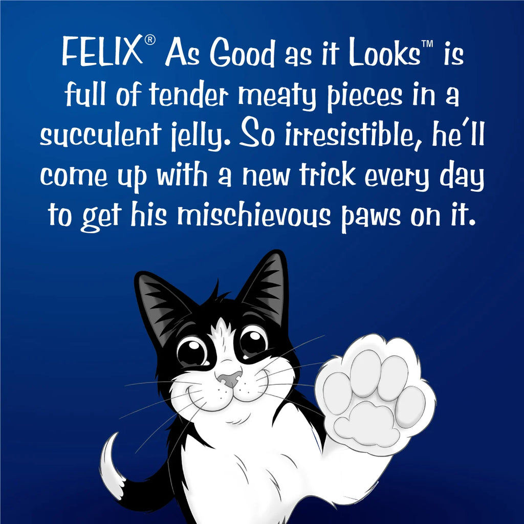 Purina Felix Chicken in Jelly Wet Cat Food 85g