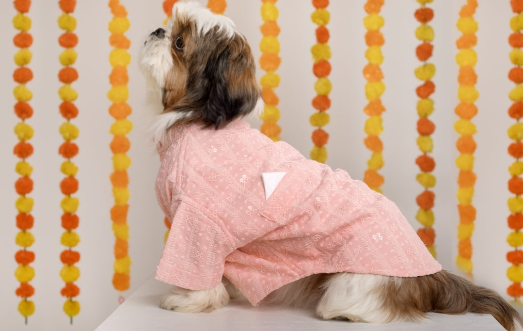 15 Furries Peach Dog Sherwani
