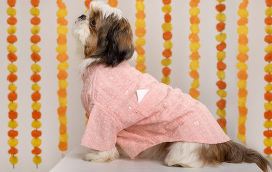 15 Furries Peach Dog Sherwani