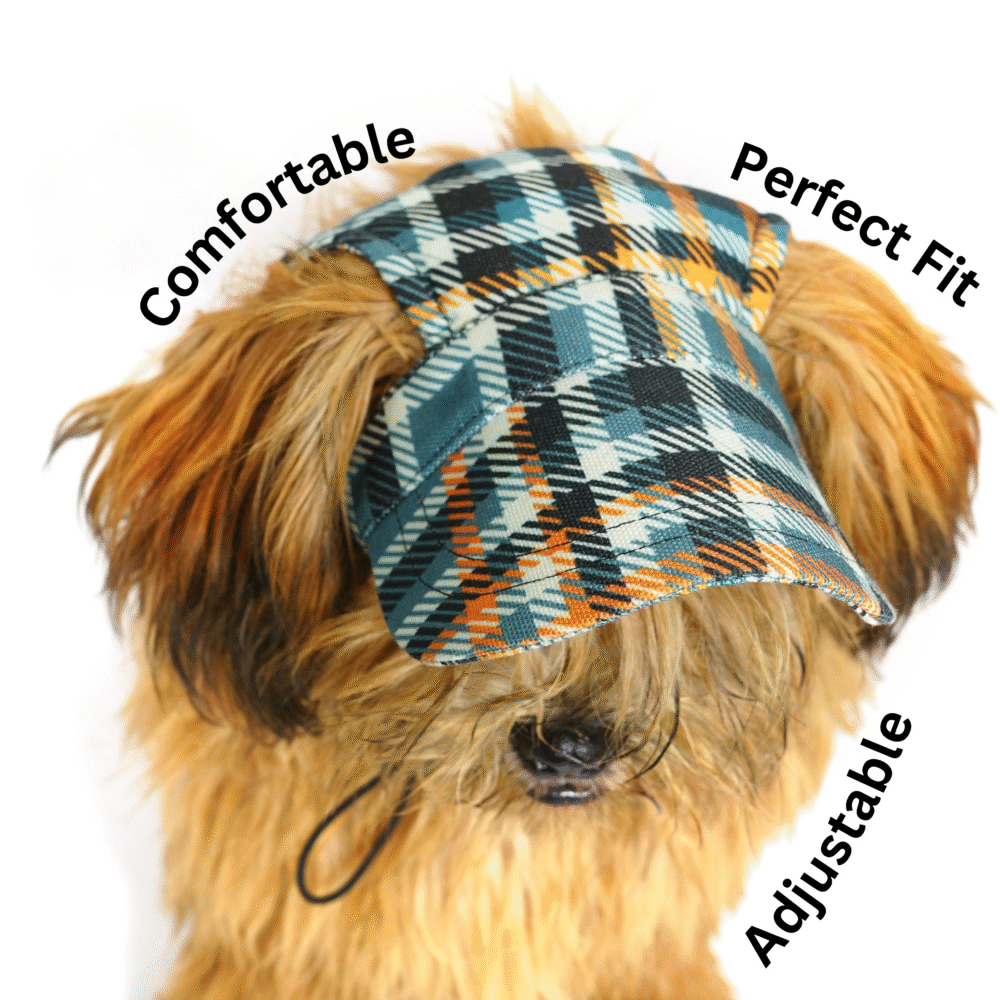 Unleash Pet Cap Green Check Medium 8 x 15 x 7.5"