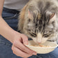Inaba Chicken Broth with Chicken & Salmon Recipe Treats For Cats 50g