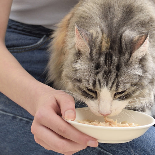 Inaba Chicken Broth with Chicken & Salmon Recipe Treats For Cats 50g