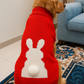 15 Furries Honey Bunny Dog Sweater
