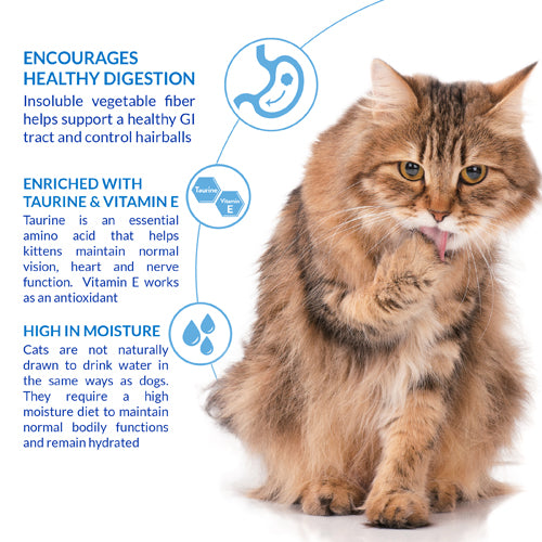 Inaba Churu Creamy Hairball Control Tuna Recipe Grain Free Treat For Cats 14g x 4 Tubes