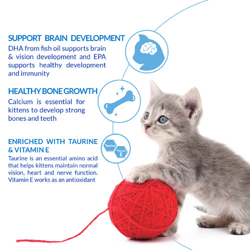 Inaba Churu Creamy Kitten Chicken Recipe Grain Free Treat For Cats 14g x 4 Tubes