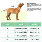 Basil Padded Adjustable Collar for Dogs & Puppies Red