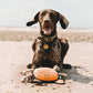 Beco Recycled Rough & Tough Crab Dog Toy