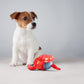 FOFOS Sealife Toy crab Dog Toy 21 x 4 x14 cm