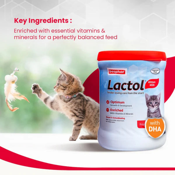 Beaphar Lactol Milk Replacement Powder for Kitten 200g